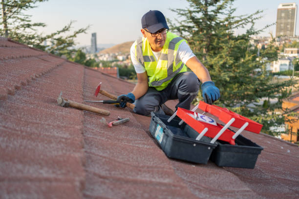 Best Yard Waste Removal  in Mosinee, WI
